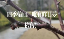 时光匆匆岁月无声是什么意思