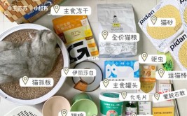 狗尾巴草养猫人的省钱妙招猫猫爱吃每次下班回家给它带几根