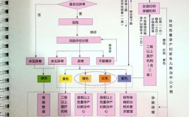 平舆县妇幼保健院优质服务工作综述(妇幼妇幼保健院优质服务综述工作)