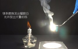 镁在空气中燃烧的现象是什么