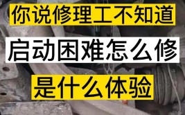 产生气阻，导致难起动的故障案例(起动喷油器柴油机故障供油)