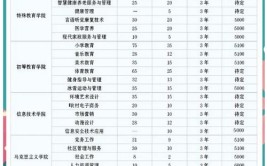 沈阳化工大学中外合作办学学费多少钱一年