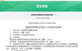 安徽城市管理职业学院是公办还是民办大学？