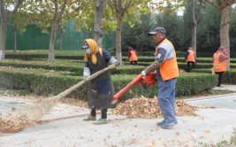 太白湖新区全天候地毯式清洁给绿植也洗洗澡