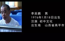 晋城“涉黑第一案”调查 李辰鹏团伙的罪与罚(东村专案组团伙案件工程)