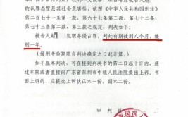 曾因职务侵占获缓刑(侵占赵某职务缓刑受审)