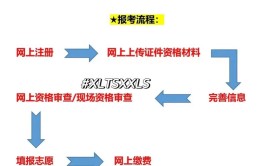 成考报名需要哪些材料