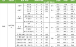 2024长沙学院艺术类学费多少钱一年