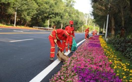 海门市公路绿化养护正当时