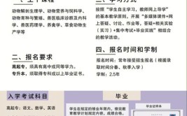 网教适合什么人报考