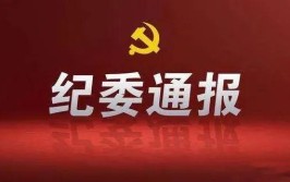 云南省文山州关于4起损坏营商环境典型问题的通报(建设局违规开除等方面局长)