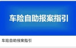 保险公司拒保新能源车、又一4S店集团倒闭｜新能源月报（2024.3）(新能源汽车销量交付经销商)