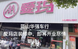 如何给自己的修理店取个好名字？这100个好名字任你选！(车行电动车修理店自己的千里)