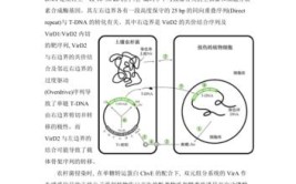 生物转化的生理意义是什么?