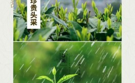 降于桑(紫阳宫女谷雨出现在花冠)