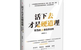 车主表示省钱才是硬道理(发电机奥迪车主转子胖哥)