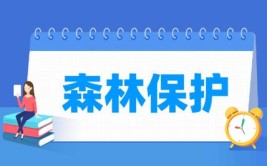 森林保护专业就业方向与就业前景怎么样