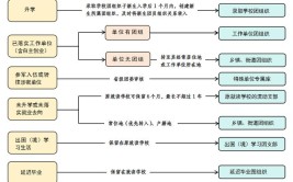 2024年转团组织关系需要什么