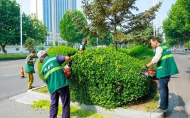 绣花功夫种绿植新都城市添生机