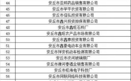 潍坊高新区245家企业拟被列入严重违法失信企业名单目录(有限公司经贸有限公司工程有限公司科技有限公司企业)