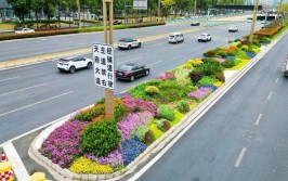 栽花养花也有规范 成都出台地栽花卉栽植技术规程等地方标准