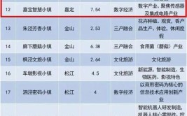 宝山这里入选2023年上海市特色小镇清单！(小镇庭院特色入选清单)