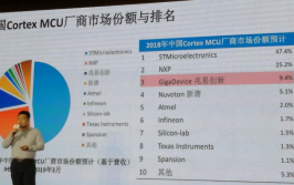 全球芯片缺货真相：原厂38颗MCU掌控汽车产业链(芯片应用范围提供缺货原厂)