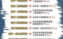 新公务员法门槛增高这几种公职人员需职业考试拿证上岗