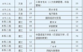 2024年西安思源学院艺术类专业有哪些