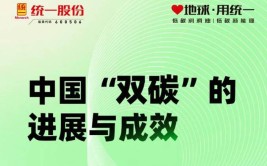 高碳大省的艰难十年：内蒙古将为碳达峰付出多大的代价？(排放能耗能源发改委全国)