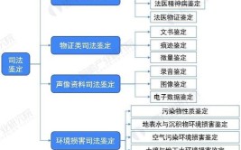 司法鉴定专业属于什么大类