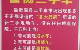 不得不做的“坏生意”(电池电站车主充电二手车)