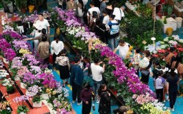 周末买花来看这些花市是不是在你家附近