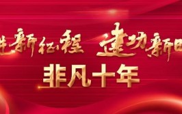 奋进新征程 建功新时代非凡十年丨上海作出改革开放排头兵创新发展先行者的新业绩