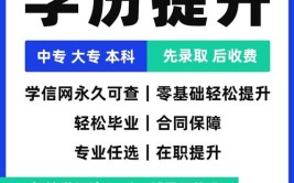 成考大专和开放大学大专哪个好