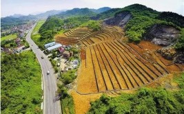 浙江钱塘江源头区域山水林田湖草生态保护修复工程千岛湖流域水环境系统生态修复项目