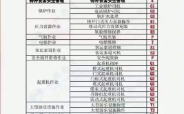 特种作业操作证安监局质监局建设厅三家区别附最新查询网址汇总建议收藏