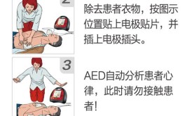 除颤是急救猝死的最有效手段吗