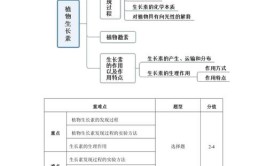 植物生命活动的调节教学设计