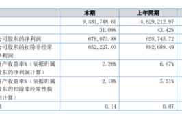 隆运环保副总经理王浩宇辞职 上半年公司净利67.91万(董事辞职公司金融界副总经理)