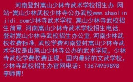 2024嵩山少林武术职业学院艺术类学费多少钱一年