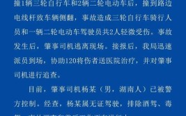 肇事司机跑了！一个细节引起警方注意……(肇事跑了司机突发警方)