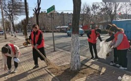 太原市道路绿化养管中心学雷锋做好事 修剪花草树木