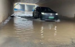 新能源车陷水，你的车还安全吗？”(新能源燃油暴雨鲸鱼能源)