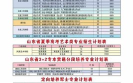 潍坊工程职业学院2023年高职单独招生和综合评价招生章程