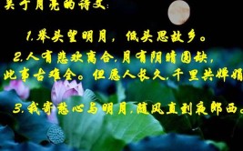 云破月来花弄影意思