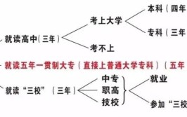 高职高专和专科提前批有什么区别