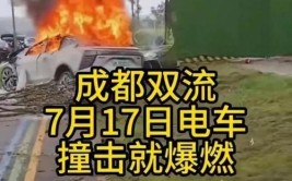 网友爆新料(双流新能源起火网友后续)