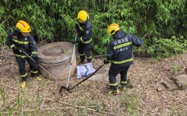 蛇类频繁出没 建阳消防来帮忙(城关蛇类住户发现有出没)