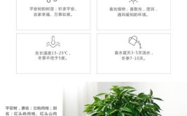 绿植租摆管养服务增值税如何处理增值税